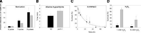 Figure 4 From The FASEB Journal Research Communication Anabolic