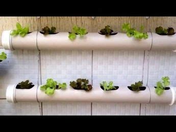 Some Plants Are Growing On The Side Of A White Wall Mounted Planter In