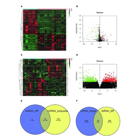 Screening Of De Mirnas Degs And Op Related De Mirnas A Heatmap