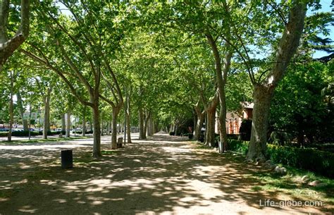 Devesa Park In Girona Parc De La Devesa A Green Oasis In The City