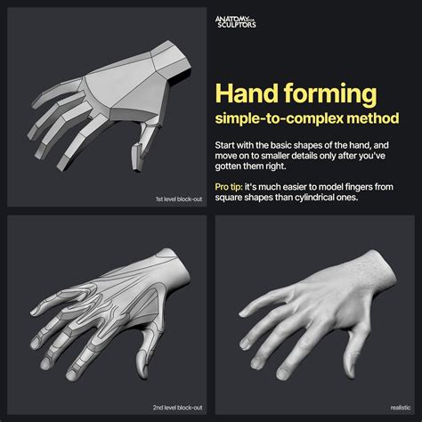 Anatomy For Sculptors - Hand forming