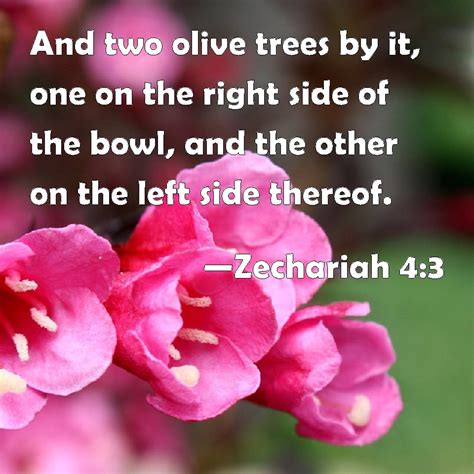 Zechariah 4:3 And two olive trees by it, one on the right side of the ...