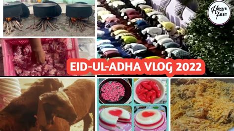 EID UL ADHA VLOG BAKRID CELEBRATION 2022 HANA S FEST BAKRID VLOG IN