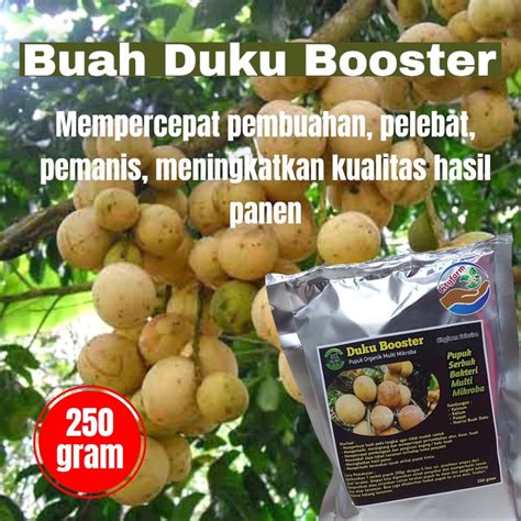 Jual Pupuk Organik Booster Buah Duku Super Cepat Berbuah Lebat 250gr