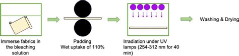 Scheme Of The Bleaching Process Download Scientific Diagram