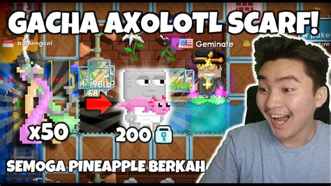 Gacha Axolotl Scarf COTD Lagi Pineapple Berkah Kah Growtopia