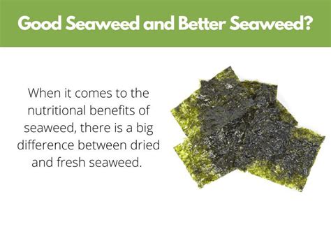 Is Seaweed Good For You