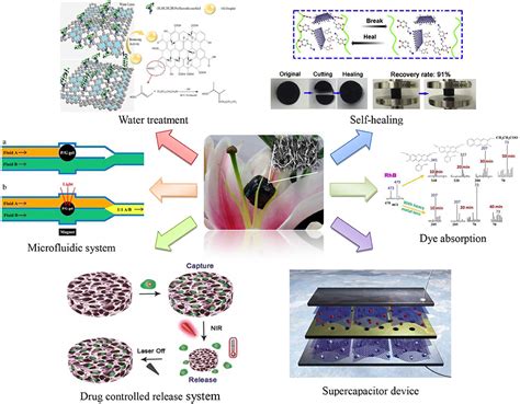 Frontiers Preparation Properties And Applications Of Graphene Based Hydrogels