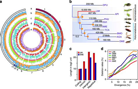 Locust Genomic Characterization And Comparative Analysis Of Insect