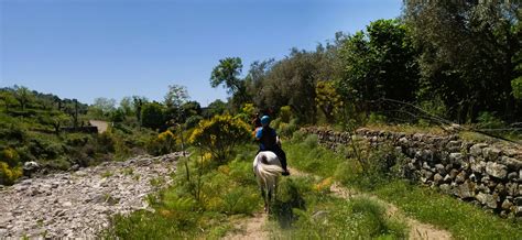 Passeggiate A Cavallo Giardini Naxos A Partire Da Freedome