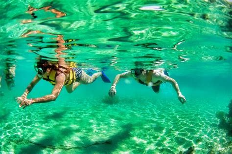 Speedboat Across The Mangroves Snorkel With Jet Ski Rental 2021 Cancun