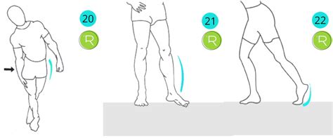 Tabla De Estiramientos Para Después De Correr