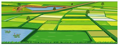 Sawah Vector Png 55 Koleksi Gambar