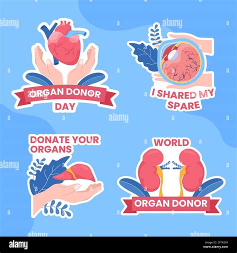 World Organ Donation Day Label Flat Cartoon Hand Drawn Background