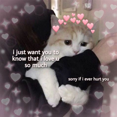 Wholesome Pic Funny Cute Cats Cute Love Memes Cat Memes