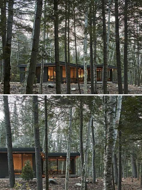 A Modern L Shaped Home Surrounded By A Pine Tree Forest