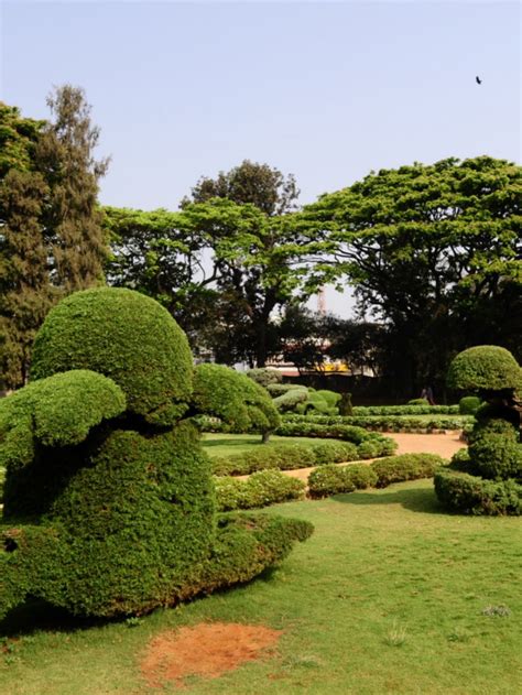 Top 10 Gardens in India - Tripnomadic