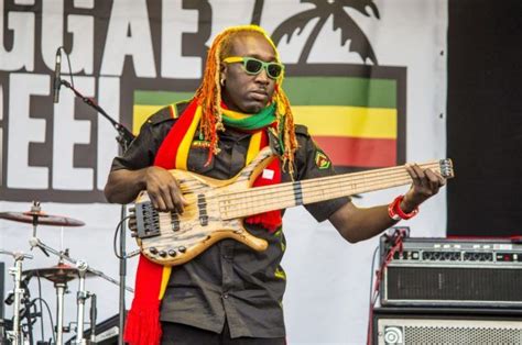 Reggae Festivals on the Island - The Concerts You Need to Check Out