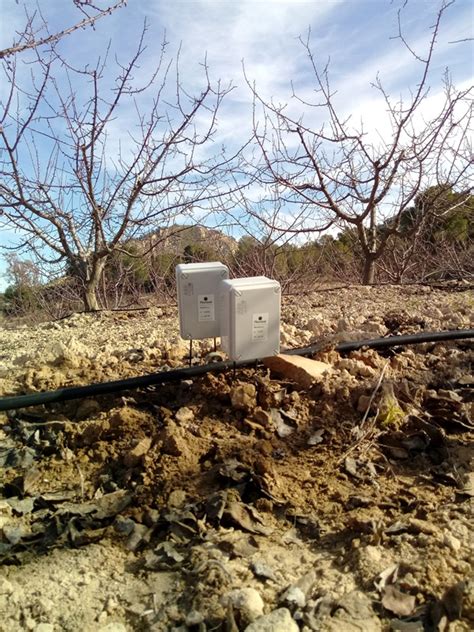 Sondas Y Sensores En Cultivos Control Del Riego Plantae