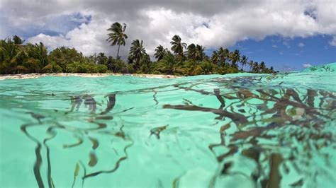 Stronger disaster and climate change information to enhance early warning in the Maldives ...