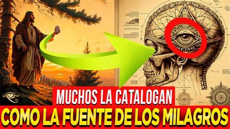 El Poder Oculto De La Glandula Pineal Que Quieren Borrar De Internet