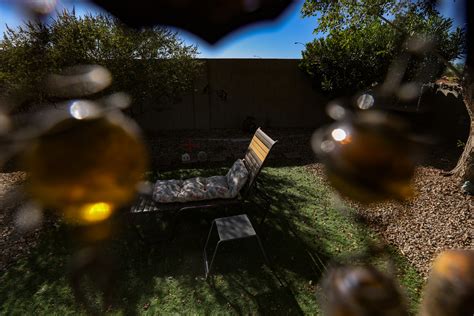 Las Vegas heat claimed over 400 lives this year. Here’s what families