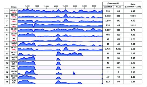 Results Of Read Mapping To CLasMV1 Sequence 8 869 Bp With HiSeq