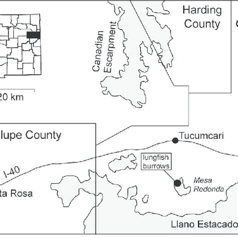 Pdf Lungfish Burrows Of Varying Morphology From The Upper Triassic