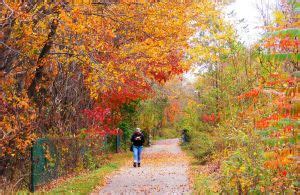 Parks Trails New York Trailsblog Five Trails For The Fall