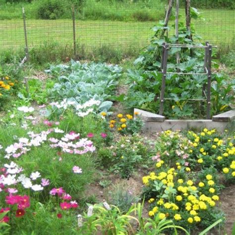 Organic Gardening 101 How To Start A Garden And Keep It Healthy