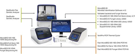 Microbial Identification Thermo Fisher Scientific Us