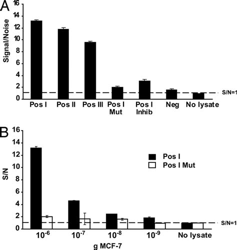 Analysis Of The DNA Binding Specificity Of P53 A Three Sequences