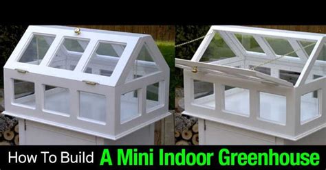 How To Build A Mini Indoor Greenhouse