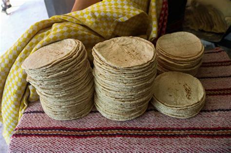 Maíz Blanco Gobierno Aplica Arancel De 50 A Exportación Para ‘frenar Precio De La Tortilla