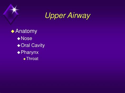 module  upper airway anatomy physiology powerpoint
