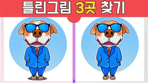 기억력 향상 프로젝트 멋쟁이 불독 틀린그림찾기 Find the 3 differences 집중력 기억력 다른그림