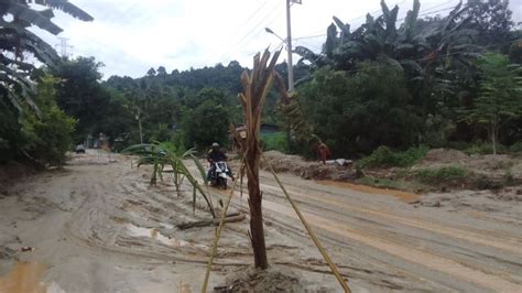 Kesal Jalan Trans Sulawesi Di Kolaka Jadi Kolam Lumpur Warga Tanam