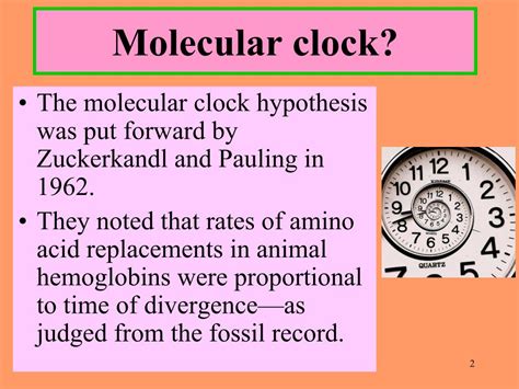 Ppt Molecular Clocks Powerpoint Presentation Free Download Id2883128