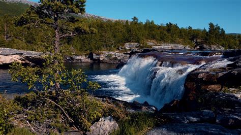 White Noise From A Roaring Waterfall In The Forest