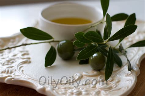 Olive Oil Moisturizer: DIY Recipe - Oilypedia.com