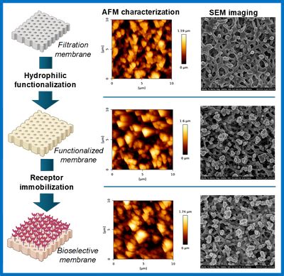 Projects Bioinspired Materials Biosensor Technologies