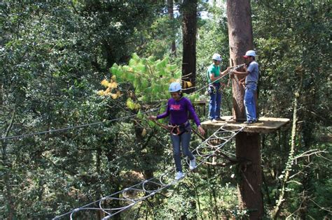 Puente De Zig Zag Un Lider Es Aquel Que Conoce El Camino Transita El