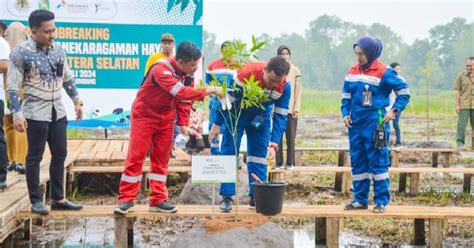 Pemprov Sumsel Dan Kilang Pertamina Plaju Bangun Taman Rawa Pertama Di