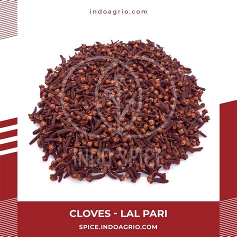 Buy Dried Whole Cloves Indonesian Premium Spices Ab Lal Pari