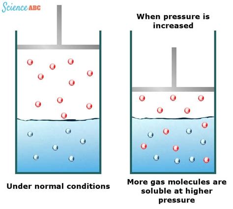 Why Do Bubbles Form In A Glass Of Water Thats Left Out Scienceabc