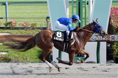 ダート界の新星レモンポップが帰厩後の初時計 復帰戦は天皇賞秋当日 競馬ニュース特集なら東スポ競馬