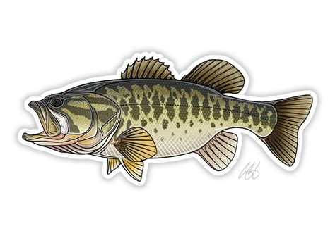 Largemouth Bass Svg Eps Dxf Cnc Plasmas Laser Cricut Etsy Clip Art