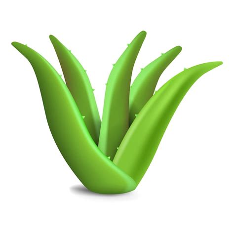 Icono de planta de aloe vera ilustración realista del icono de vector