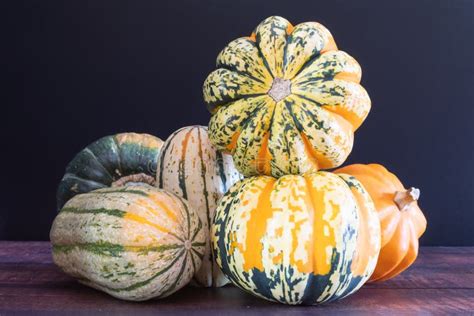 Two Stacked Carnival Squash Surrounded By Delicata Squash Gold Acorn