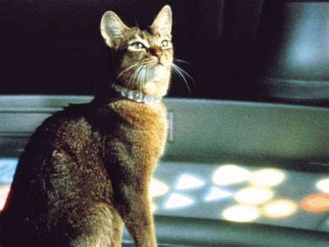 The Cat from Outer Space (1978) - Norman Tokar | Synopsis ...